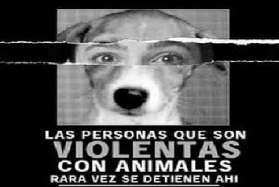 adoptantesmaltratadores